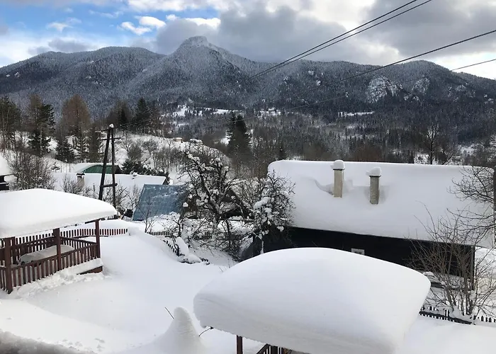 Andrea- Neakceptujeme Mlade Partie *